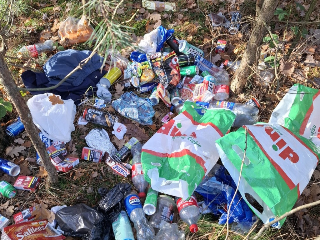 Wyrzucał śmieci do lasu