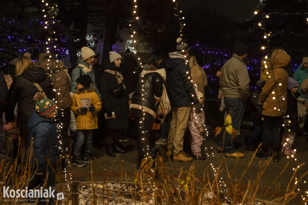 W Czempiniu odpalono świąteczne iluminacje