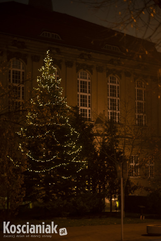 Świąteczne iluminacje w Kościanie już świecą