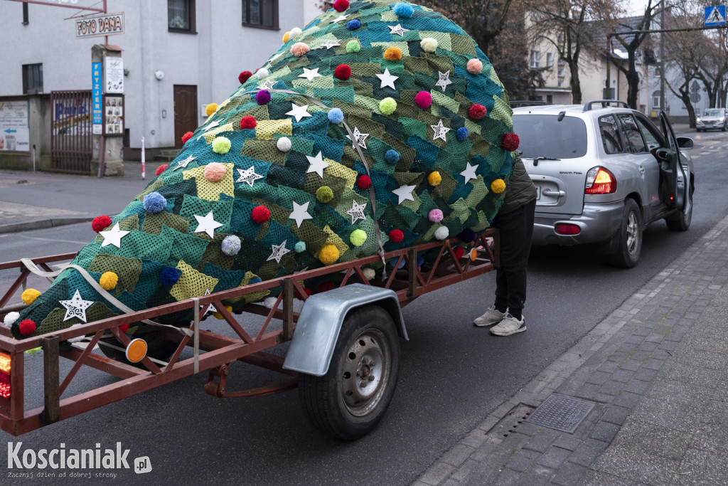 Dziergana choinka stanęła przed urzędem