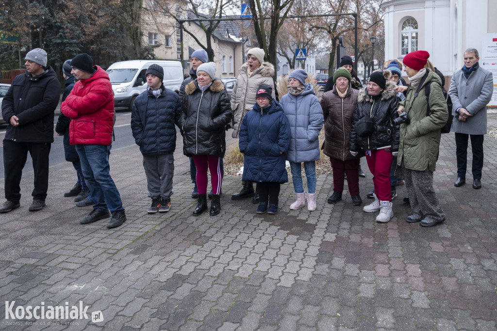 Dziergana choinka stanęła przed urzędem