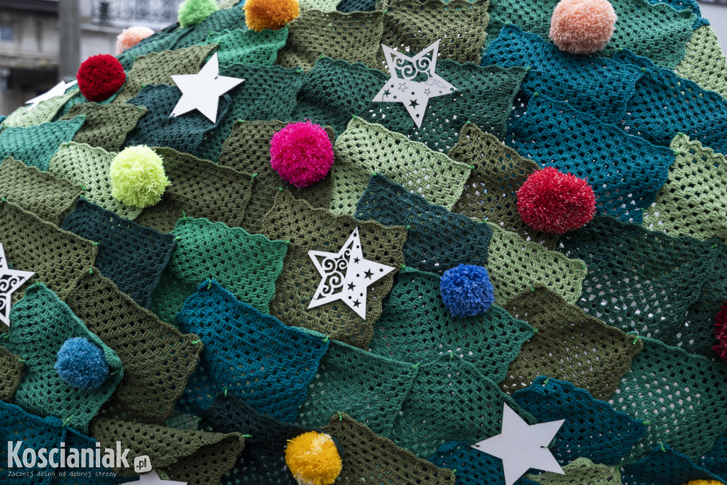 Dziergana choinka stanęła przed urzędem