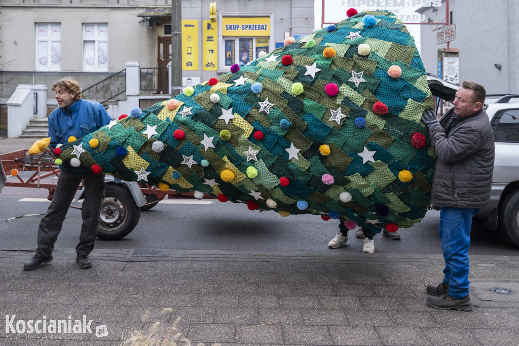 Dziergana choinka stanęła przed urzędem