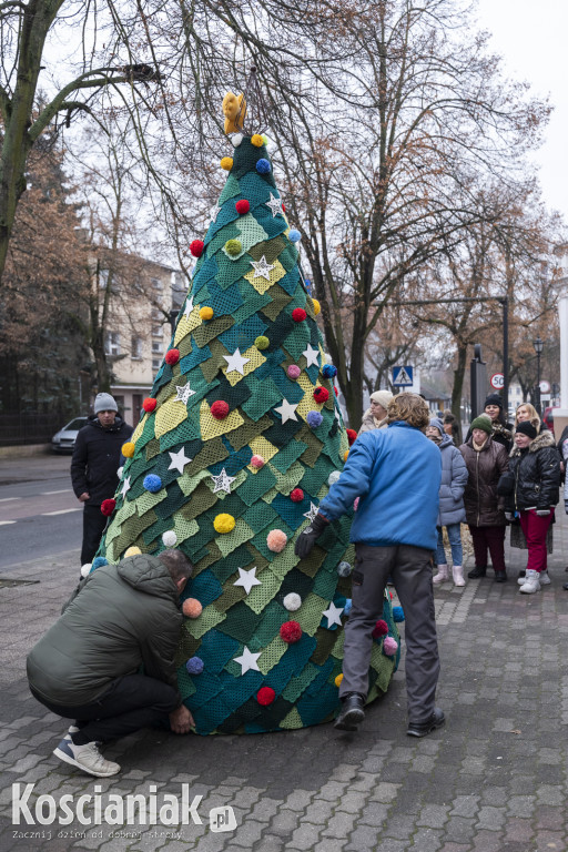 Dziergana choinka stanęła przed urzędem