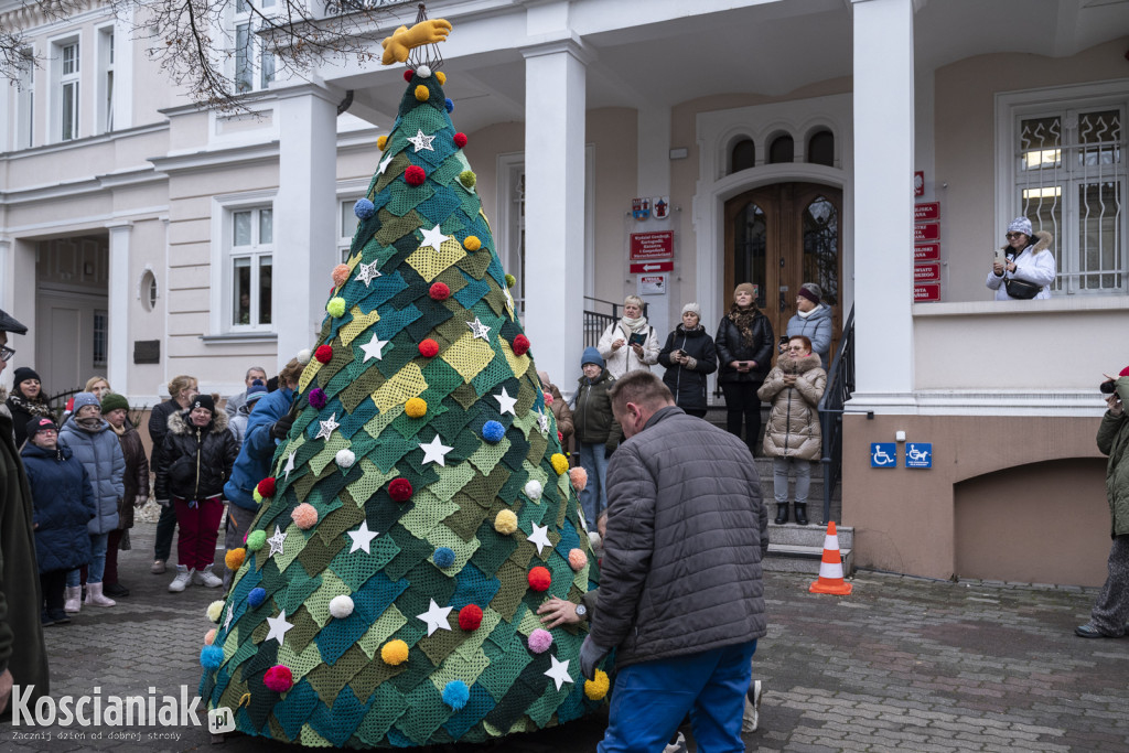 Dziergana choinka stanęła przed urzędem