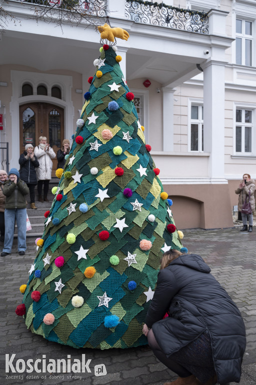 Dziergana choinka stanęła przed urzędem