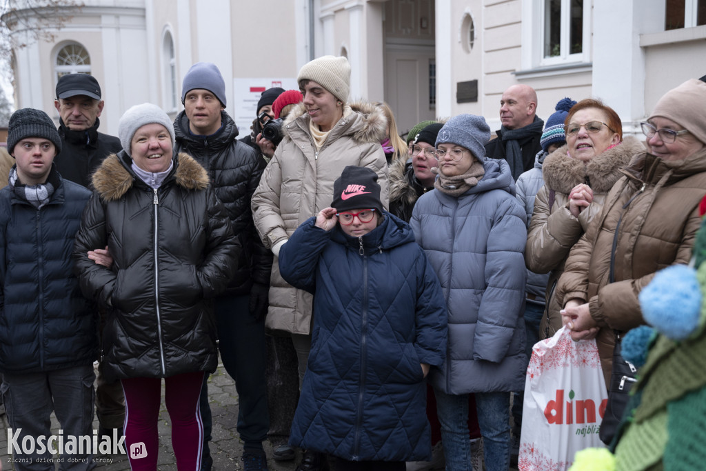 Dziergana choinka stanęła przed urzędem