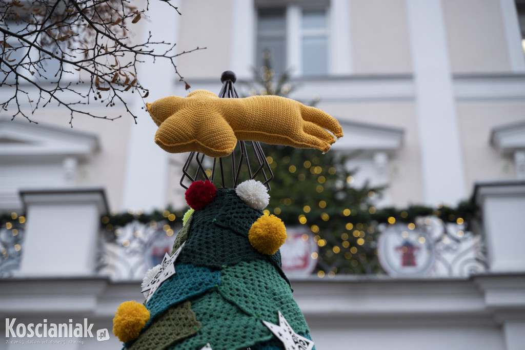 Dziergana choinka stanęła przed urzędem