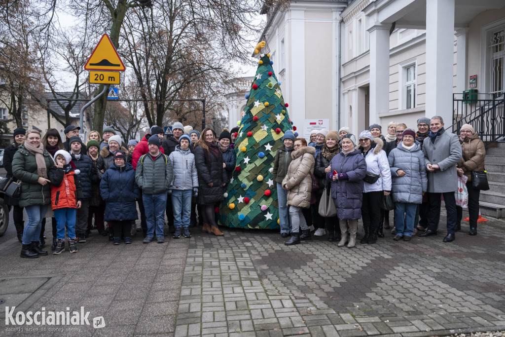 Dziergana choinka stanęła przed urzędem