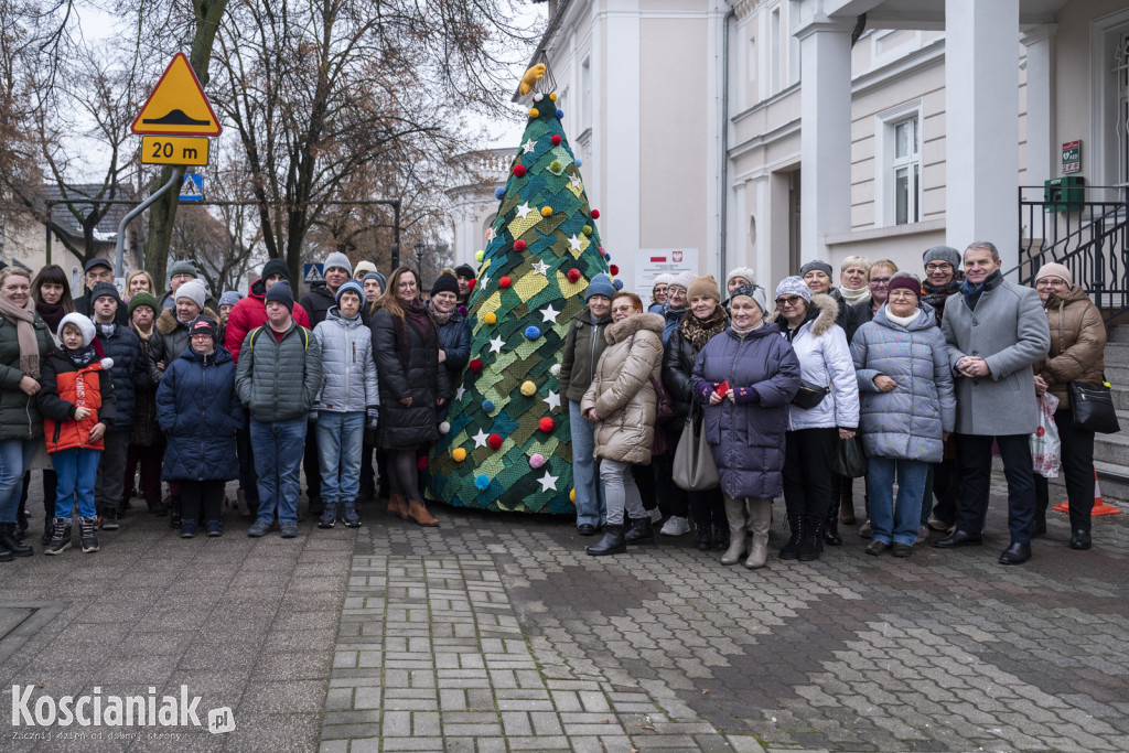 Dziergana choinka stanęła przed urzędem