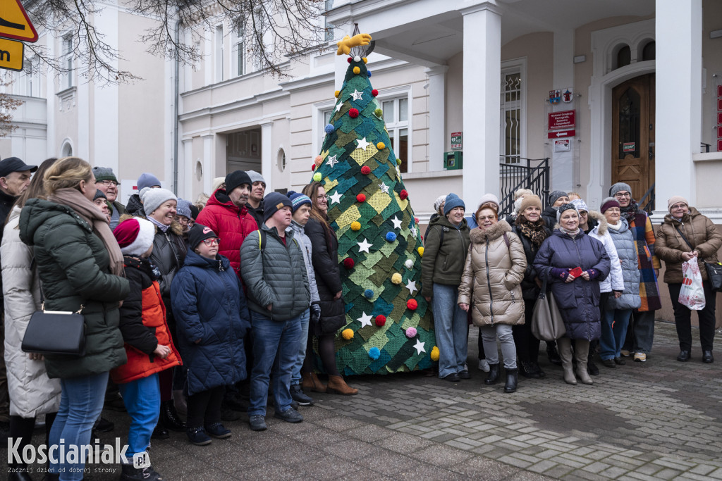 Dziergana choinka stanęła przed urzędem
