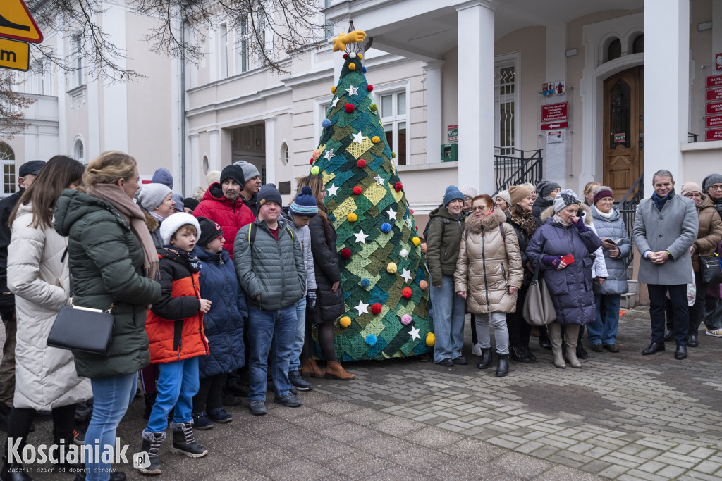 Dziergana choinka stanęła przed urzędem