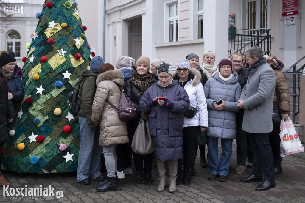 Dziergana choinka stanęła przed urzędem