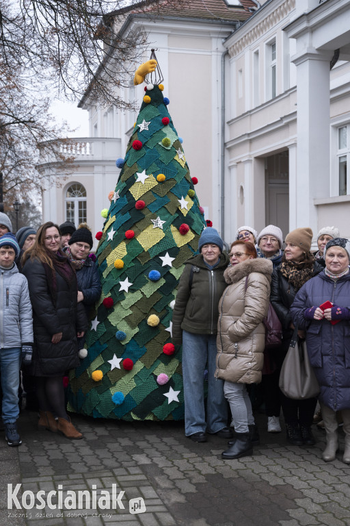 Dziergana choinka stanęła przed urzędem