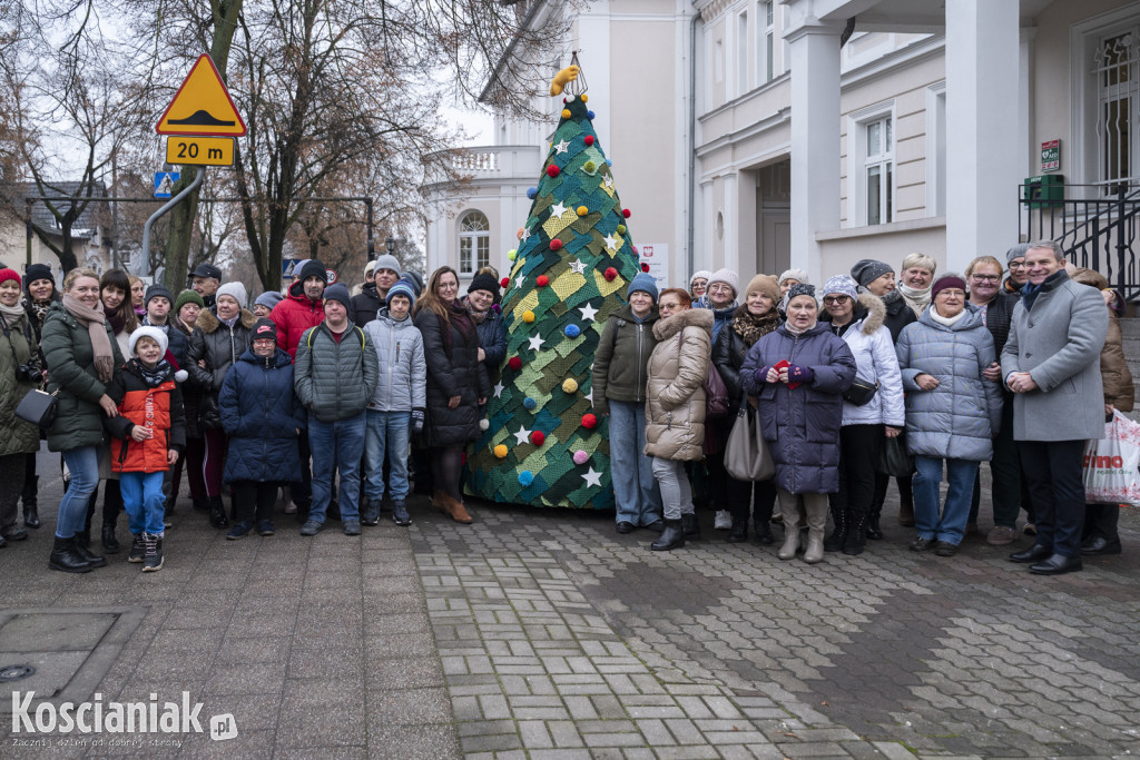 Dziergana choinka stanęła przed urzędem
