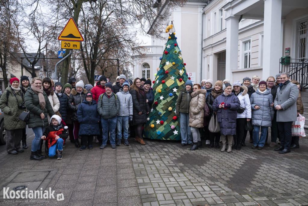 Dziergana choinka stanęła przed urzędem