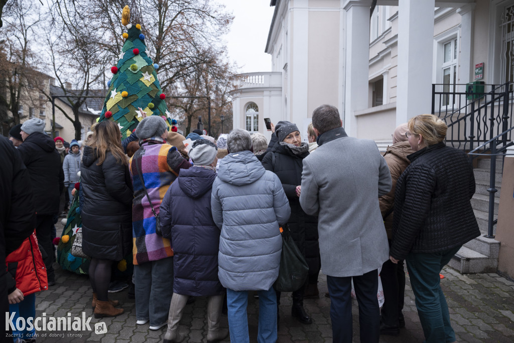 Dziergana choinka stanęła przed urzędem