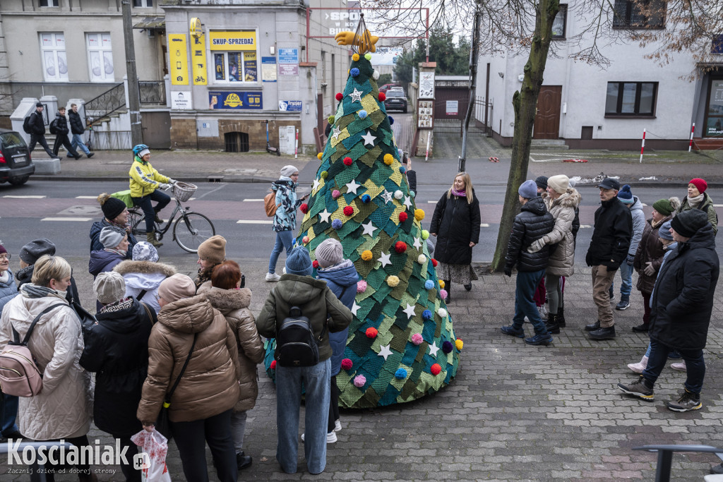 Dziergana choinka stanęła przed urzędem