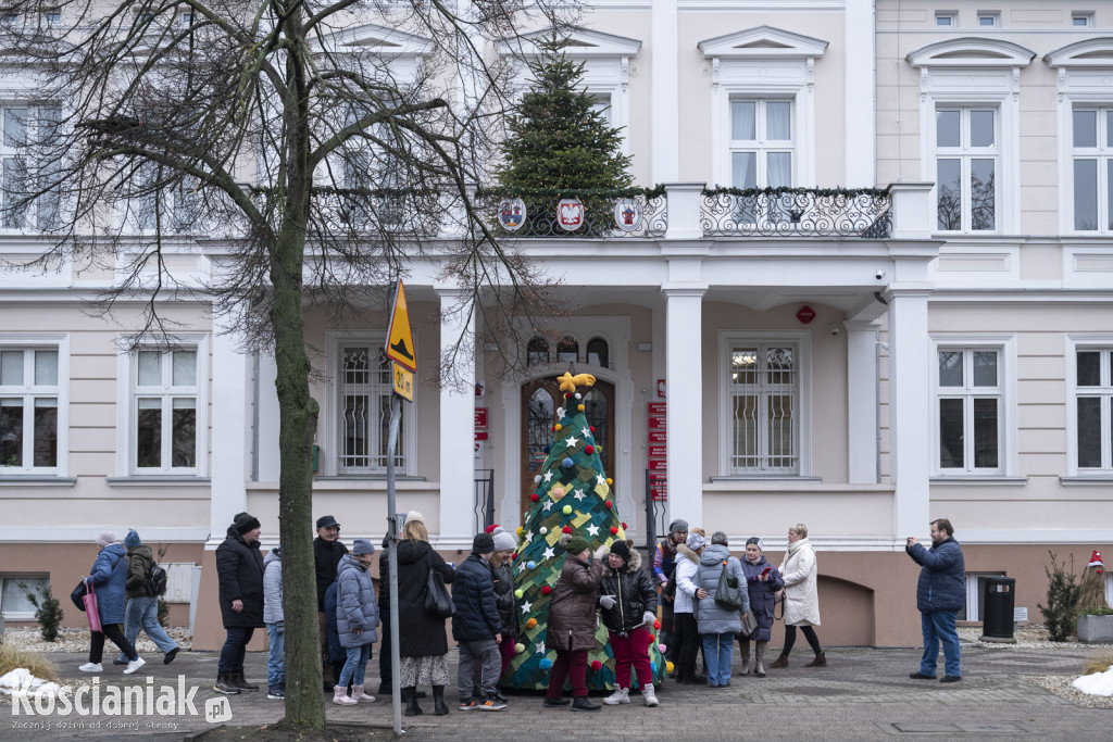 Dziergana choinka stanęła przed urzędem