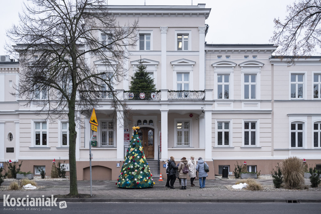 Dziergana choinka stanęła przed urzędem
