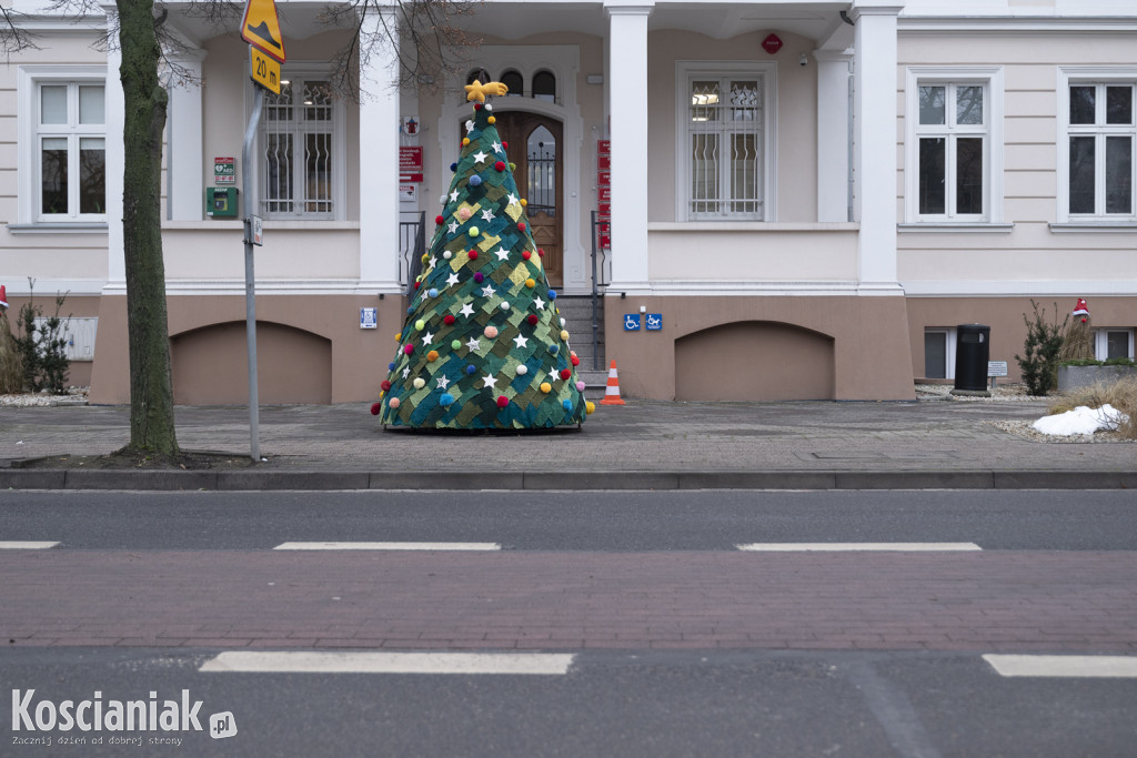 Dziergana choinka stanęła przed urzędem
