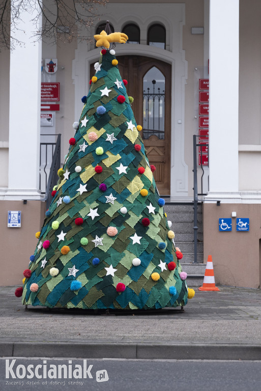 Dziergana choinka stanęła przed urzędem