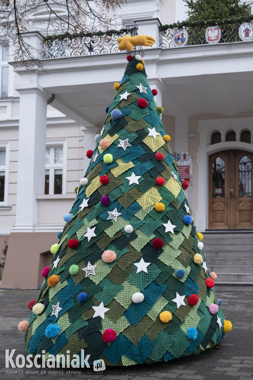 Dziergana choinka stanęła przed urzędem