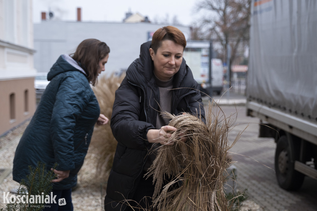 Dziergana choinka stanęła przed urzędem