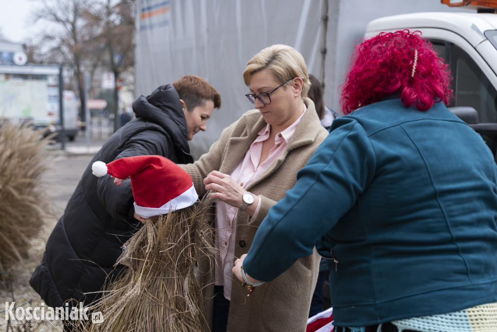 Dziergana choinka stanęła przed urzędem