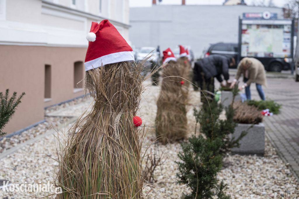 Dziergana choinka stanęła przed urzędem