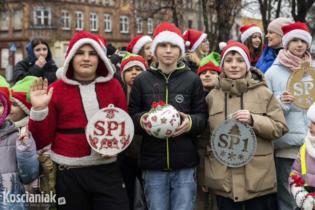 Wspólne dekorowanie choinki na Placu Wolności