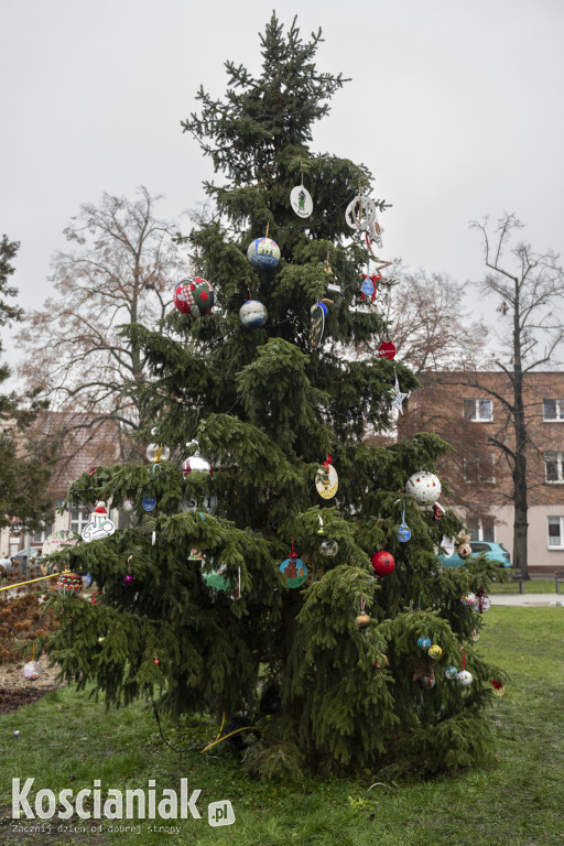Wspólne dekorowanie choinki na Placu Wolności