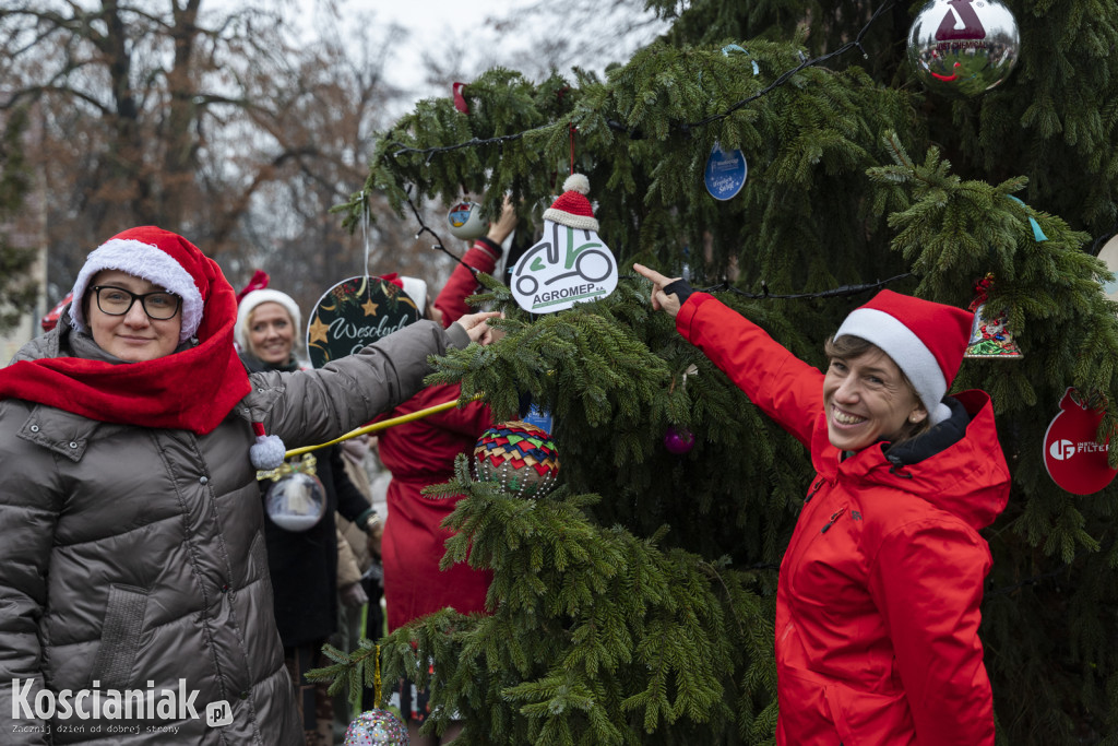 Wspólne dekorowanie choinki na Placu Wolności