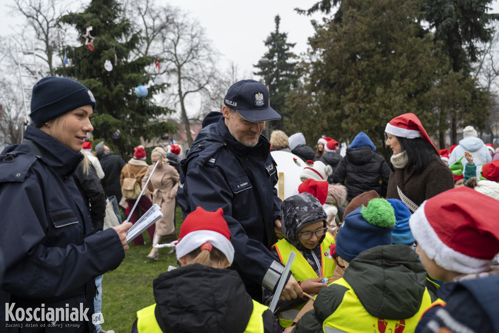 Wspólne dekorowanie choinki na Placu Wolności