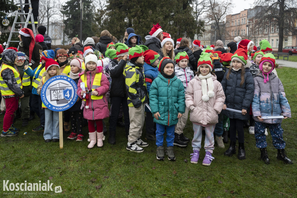 Wspólne dekorowanie choinki na Placu Wolności
