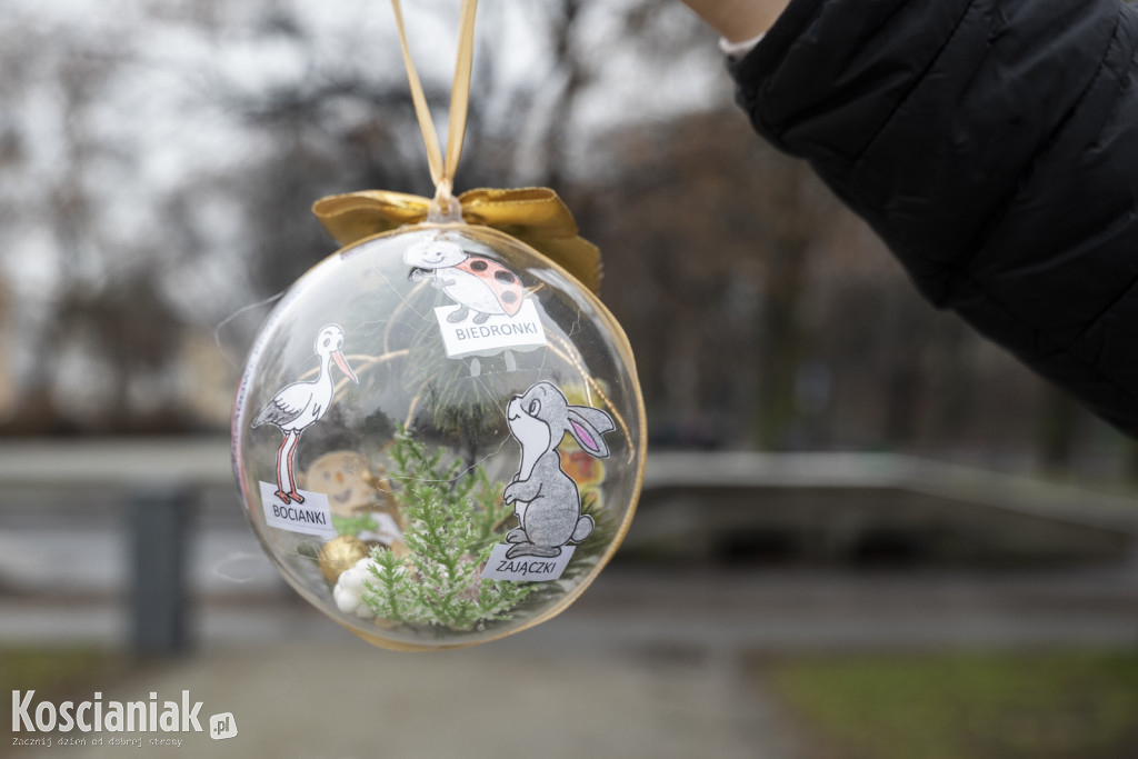 Wspólne dekorowanie choinki na Placu Wolności