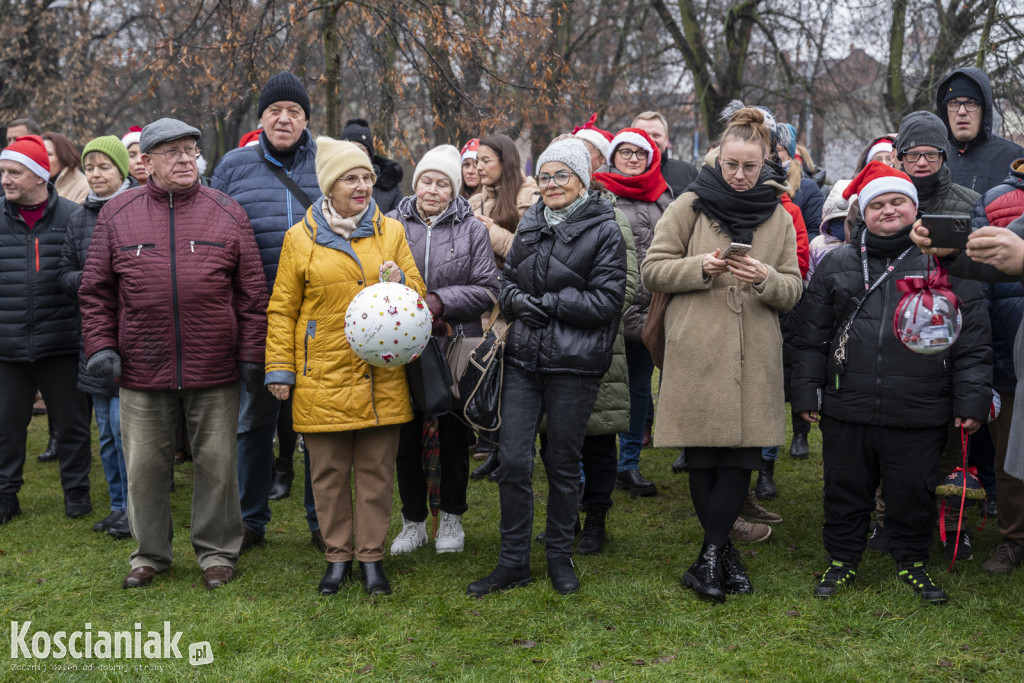 Wspólne dekorowanie choinki na Placu Wolności