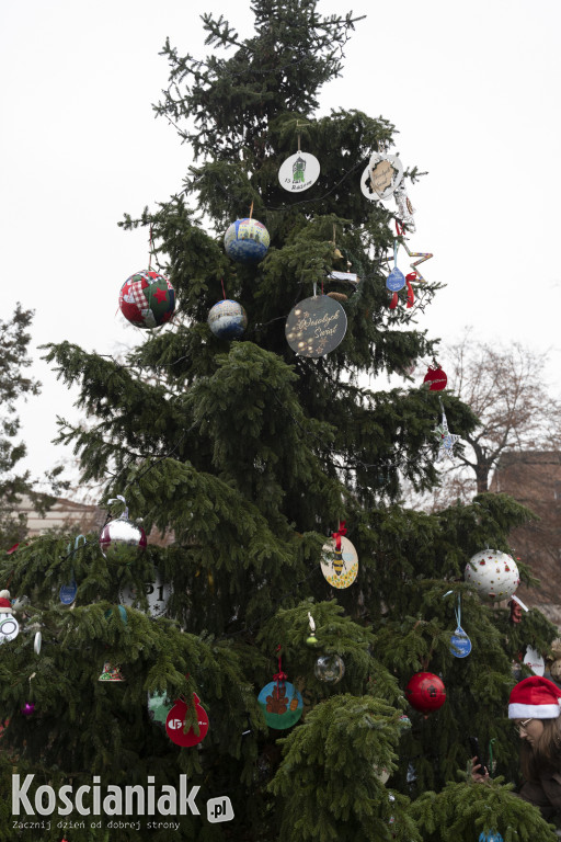 Wspólne dekorowanie choinki na Placu Wolności