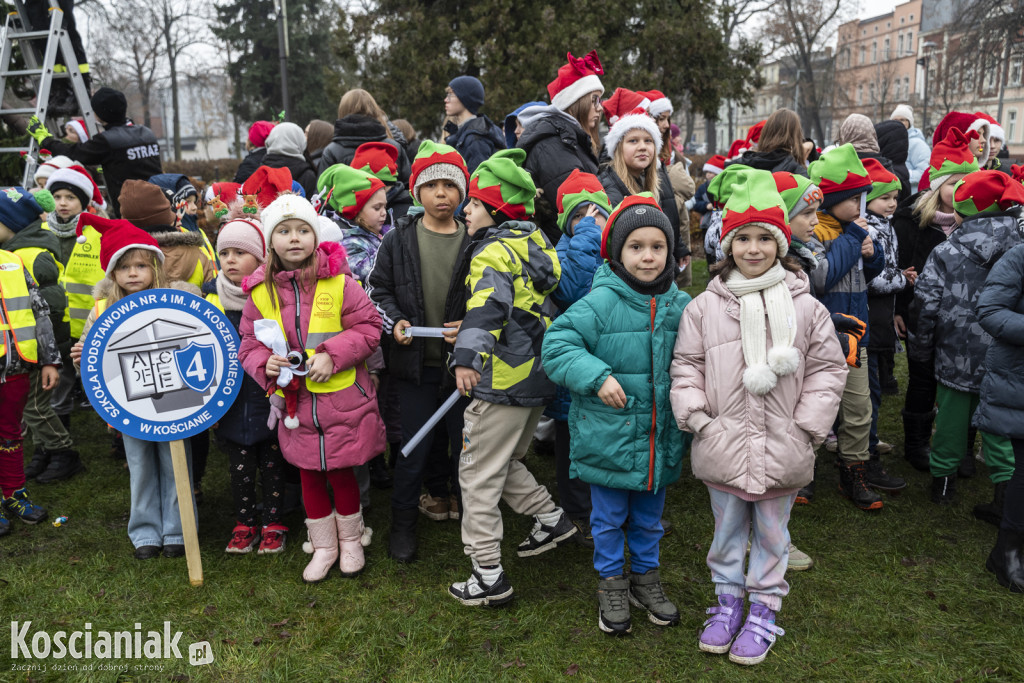 Wspólne dekorowanie choinki na Placu Wolności