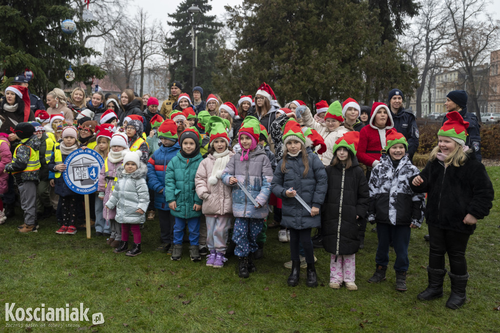 Wspólne dekorowanie choinki na Placu Wolności