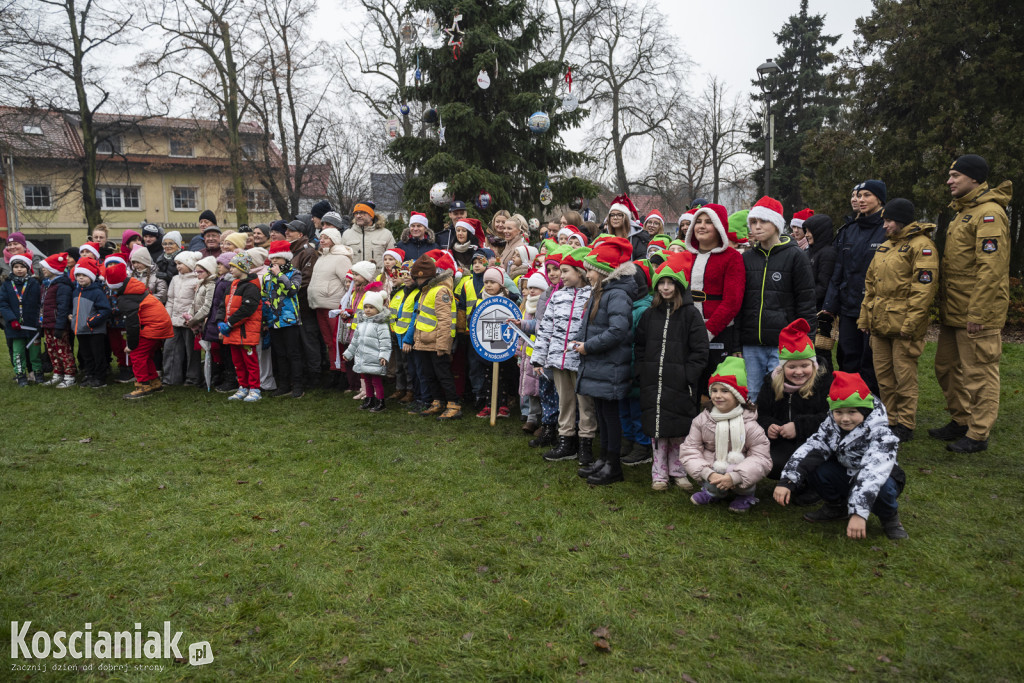 Wspólne dekorowanie choinki na Placu Wolności