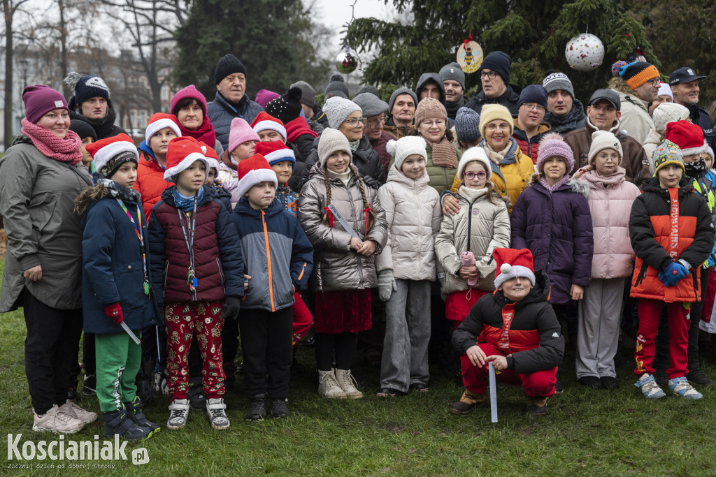 Wspólne dekorowanie choinki na Placu Wolności