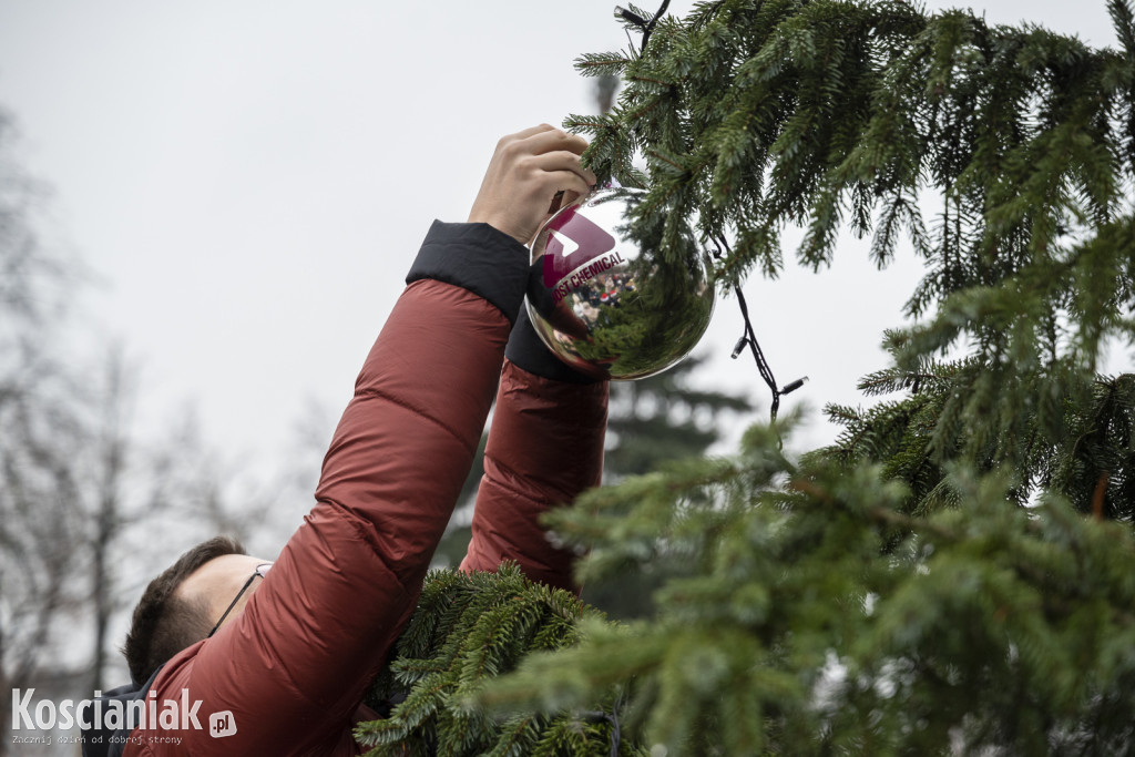 Wspólne dekorowanie choinki na Placu Wolności