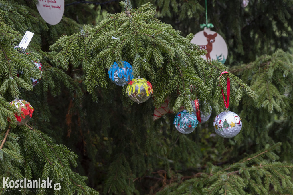 Wspólne dekorowanie choinki na Placu Wolności