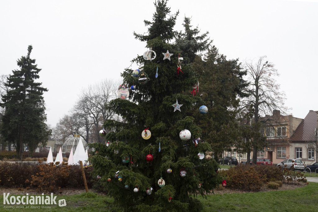 Wspólne dekorowanie choinki na Placu Wolności