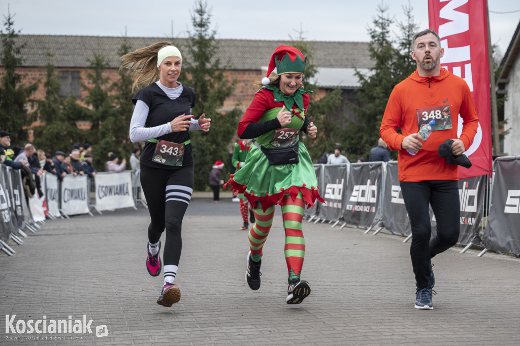 Bieg Elfa w Pogoni za Mikołajem w Krzywiniu