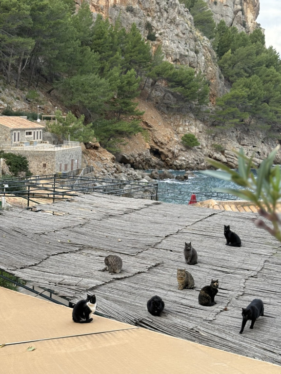 Wyjazd na Majorkę śladami Chopina uczennic Czwórki