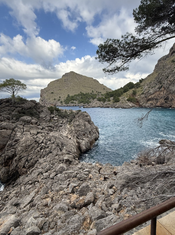 Wyjazd na Majorkę śladami Chopina uczennic Czwórki
