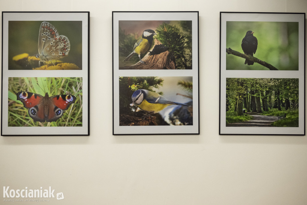 Ziemia Kościańska w obiektywie Jacka Olejniczaka