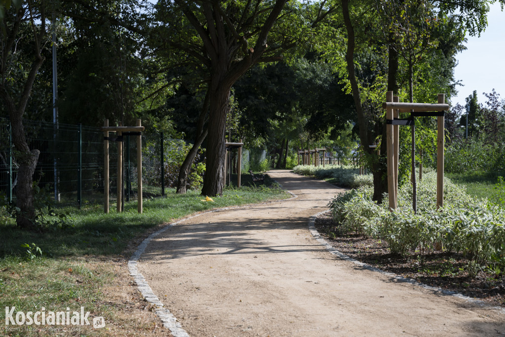 Park kieszonkowy i ścieżka w sąsiedztwie Olszynki